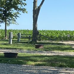 Double J Campground - Beautiful cornfield at the end of our section. With good side spaces for camping.