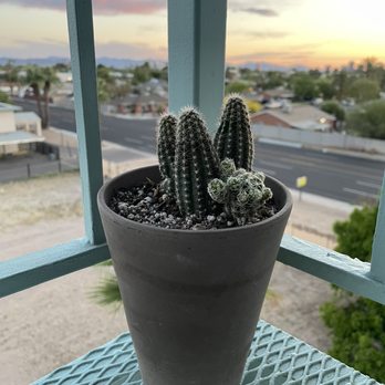 Echelon Apartments - Apartments Near Me - Phoenix, Arizona