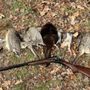 Photo of TMT Hunting Preserve and Sporting Clays