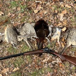 TMT Hunting Preserve and Sporting Clays - Pheasant's