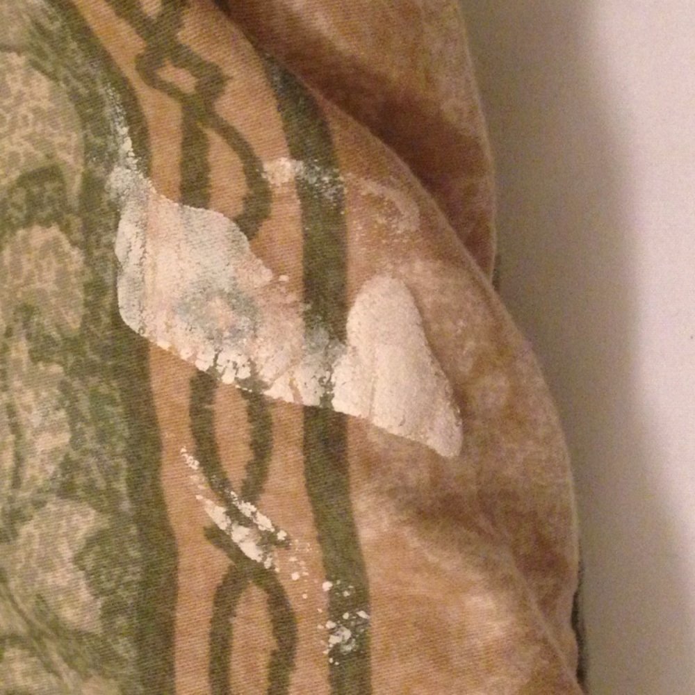 Tybee Island Rentals - Huge stain on the bed spread - Vacation Rentals Near Me - Tybee Island, Georgia Tybee Island Rentals - Huge stain on the bed spread - Vacation Rentals Near Me - Tybee Island, Georgia