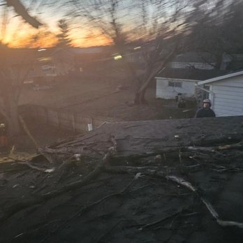 Total Tree Service - Tree Services Near Me - Pontiac, Illinois