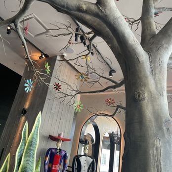 Mi Vida - Decor - Mexican Near Me - Washington, DC, District of Columbia Mi Vida - Decor - Mexican Near Me - Washington, DC, District of Columbia