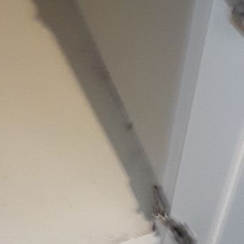 15Seventy Chesterfield - The is dirt, filth and look like droppings under the sink - Apartments Near Me - Chesterfield, Missouri 15Seventy Chesterfield - The is dirt, filth and look like droppings under the sink - Apartments Near Me - Chesterfield, Missouri