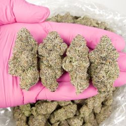 CBD Chattanooga Bud Dispensary