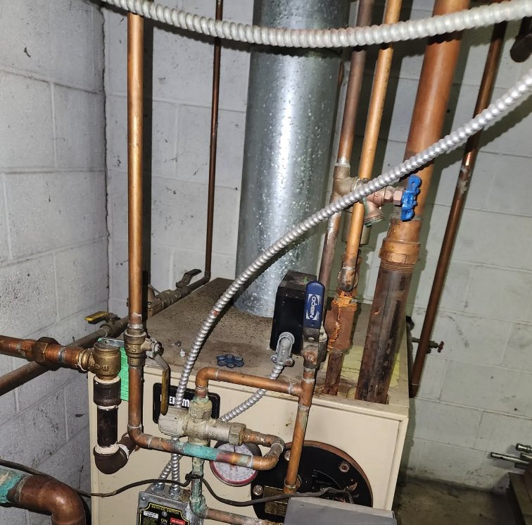 Slide of Jenalia Mechanical