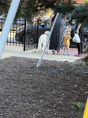 Sedona Taphouse by null