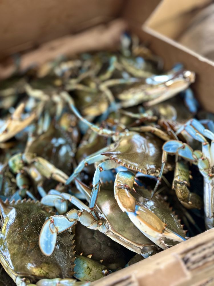 FAT TAILS SEAFOOD Updated September 2024 90 Photos 5129 W Main St