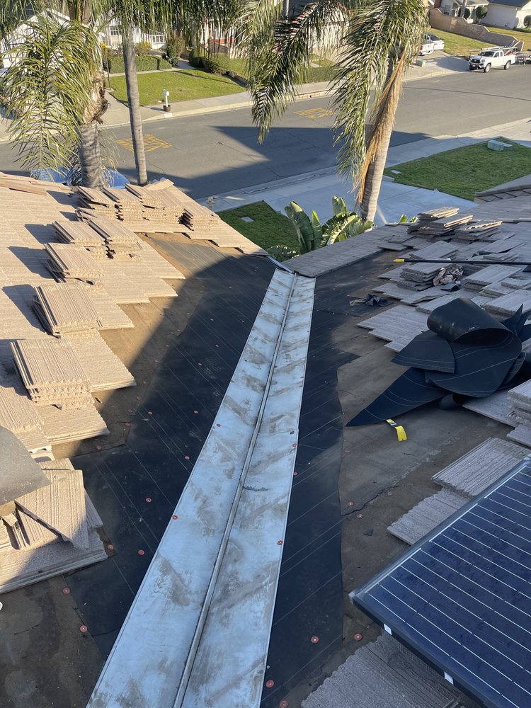 Slide of A J M D Mendoza