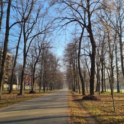 Parco di Monza - Morning run!