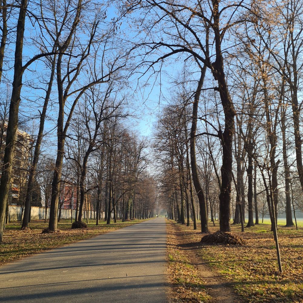Parco di Monza
