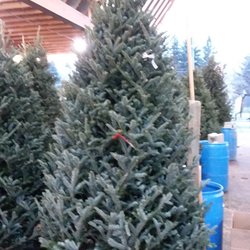 Sanfelippo's City Center Market