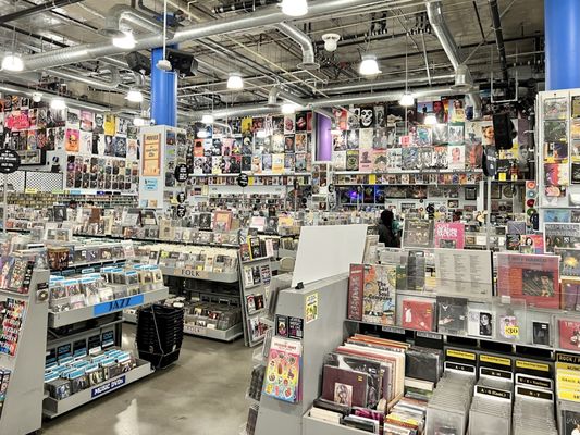 Amoeba Music by null