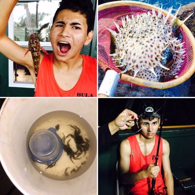 Waianapanapa State Park by null