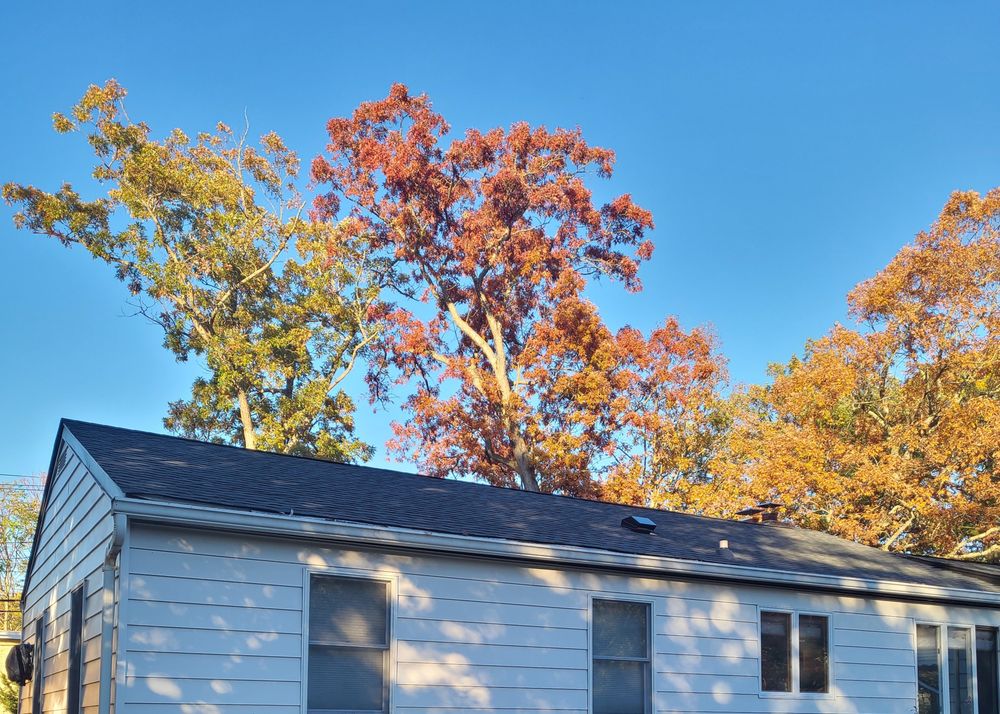 TWO BROTHERS SEAMLESS GUTTERS Updated September 2024 13 Photos 93