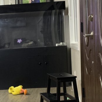 Acrylic Pros - Aquarium Services Near Me