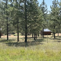 Coyote Creek - 08.02.2026