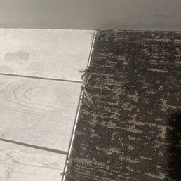 The floors are dirty The floors are dirty