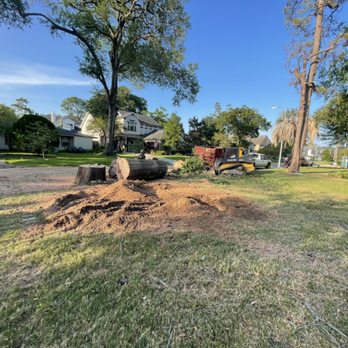 Ria Affordable Tree Service - grinding done - Tree Services Near Me - Fort Wayne, Indiana Ria Affordable Tree Service - grinding done - Tree Services Near Me - Fort Wayne, Indiana
