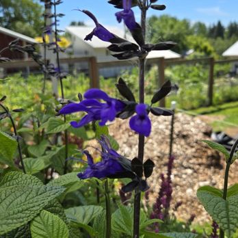 Sublime Gardens - Nurseries & Gardening Near Me - Snohomish, Washington