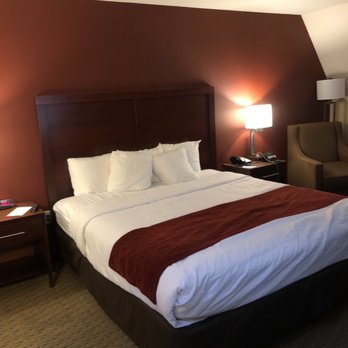Comfort Inn - Typical room here at the hotel - Hotels Near Me - Redwood City, California Comfort Inn - Typical room here at the hotel - Hotels Near Me - Redwood City, California