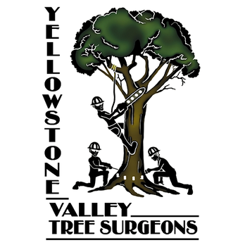 Yellowstone Valley Tree Surgeons - Tree Services Near Me - Billings, Montana Yellowstone Valley Tree Surgeons - Tree Services Near Me - Billings, Montana