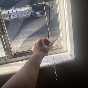 Wolfnest Property Management - Our window screens were broken/missing when we moved in - Property Management Near Me - Sandy, Utah Wolfnest Property Management - Our window screens were broken/missing when we moved in - Property Management Near Me - Sandy, Utah