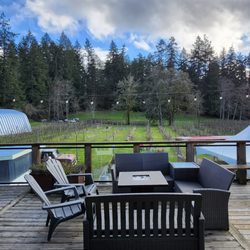 Junction Orchard & Cidery - View from the main barn- over looking the orchard