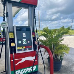 Gasolinera Puma