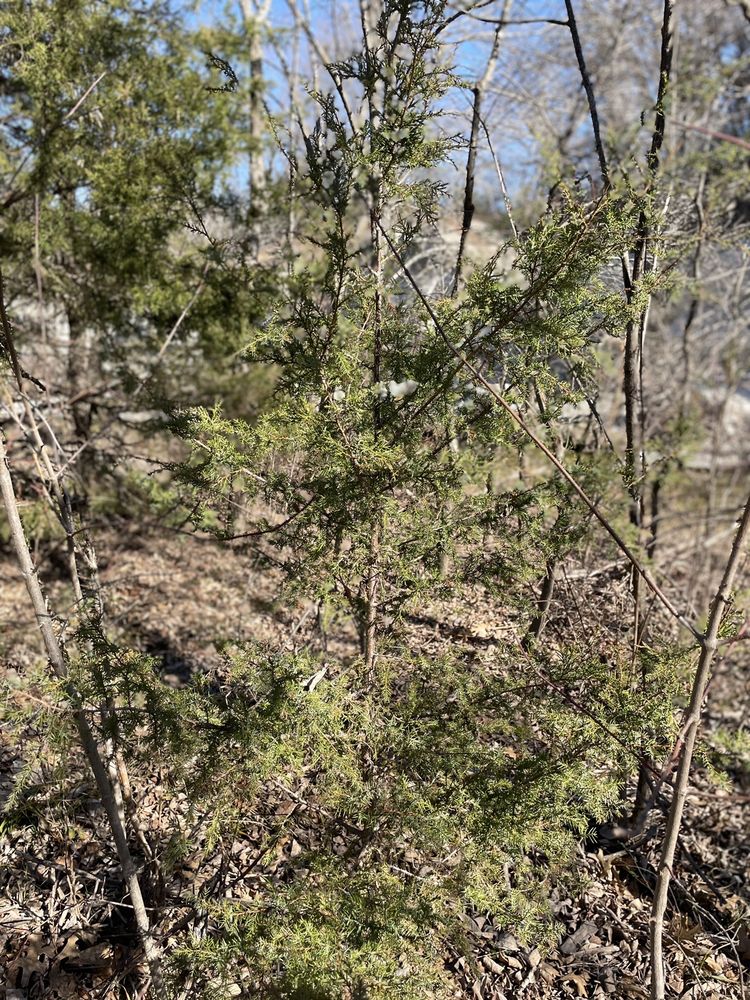 LIMESTONE QUARRY PARK Updated October 2024 40 Photos & 10 Reviews