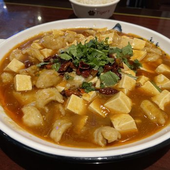 Tiger Noodle House - Boiled fish fillet with tofu - Szechuan Near Me - Houston, Texas Tiger Noodle House - Boiled fish fillet with tofu - Szechuan Near Me - Houston, Texas