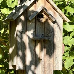 Van Vleck House & Gardens - Cute Birdhouse.