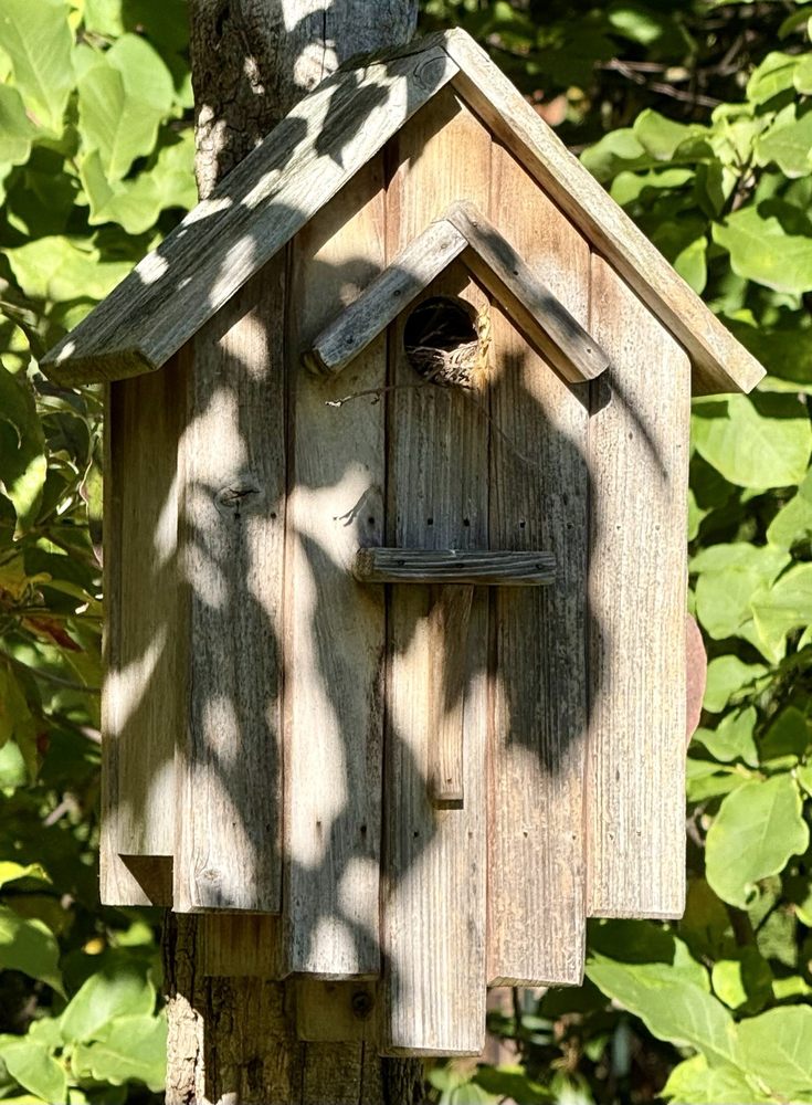 Social spots from Van Vleck House & Gardens