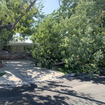 24/7 Emergency Tree Service - Tree Services Near Me 24/7 Emergency Tree Service - Tree Services Near Me