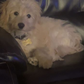 PetSmart - Before - Pet Stores Near Me - Wausau, Wisconsin