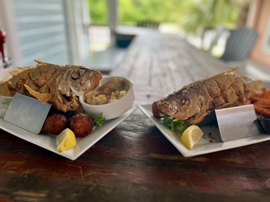 OP Fish House and Oyster Bar by null