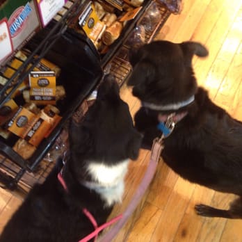 Four Paws Pantry & Spa - Some help please - Pet Groomers Near Me - Olathe, Kansas