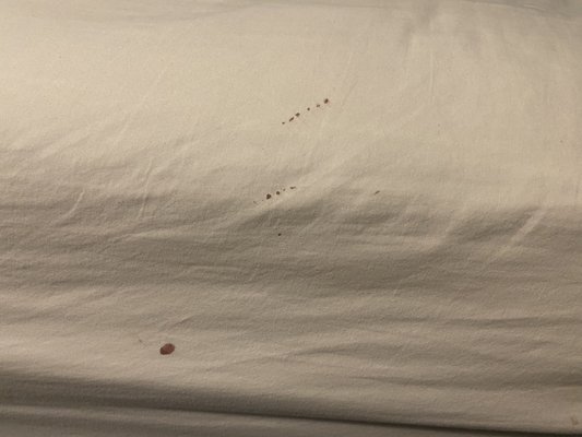 Quality Inn & Suites Gilroy by null