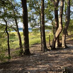 Bennetts Creek Park