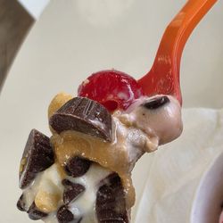 SweetFrog - Close-up of a spoonful holding my frozen yogurts together with some of the toppings I selected.