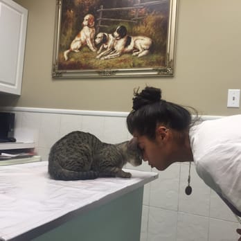 Northside Veterinary Clinic - Tora and James waiting for the vet - Veterinarians Near Me - Brooklyn, New York Northside Veterinary Clinic - Tora and James waiting for the vet - Veterinarians Near Me - Brooklyn, New York