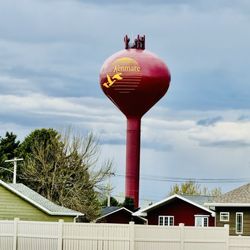 Gathering Grounds - Our Local Water  Tower.