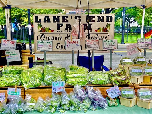 SOAR Farmers Market by null