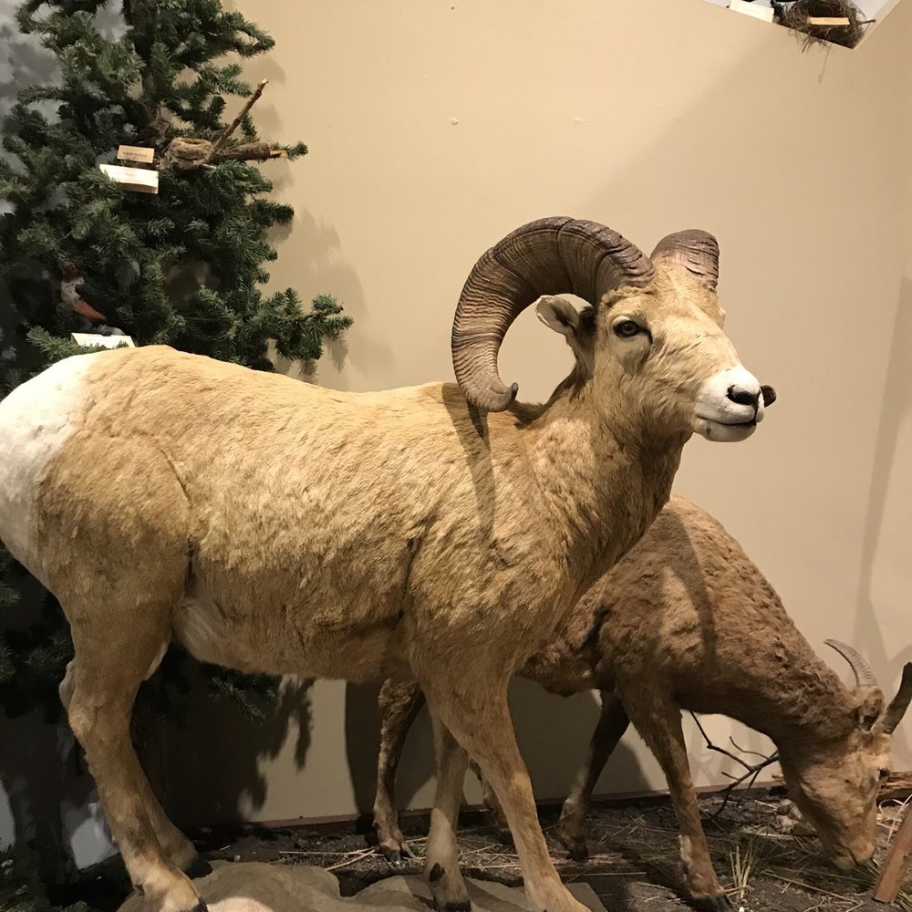 THE BEST 10 MUSEUMS near HOT SPRINGS, SD 57747 - Updated 2026 - Hours - Yelp, image size:1000x1000