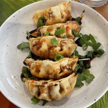 Cheeseburger In Paradise - Potstickers. - Burgers Near Me - Honolulu, Hawaii