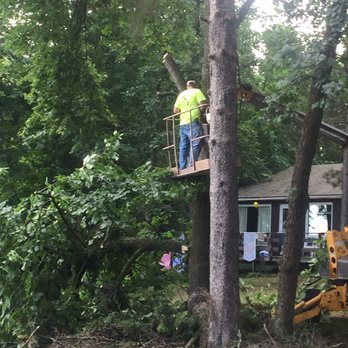 Montana Tree Service Plus - a man standing on a tree - Tree Services Near Me - Fairmont, Minnesota Montana Tree Service Plus - a man standing on a tree - Tree Services Near Me - Fairmont, Minnesota
