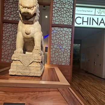 Field Museum - China exhibit was closed for restaurant week party. - Museums Near Me - Chicago, Illinois