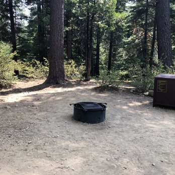 William Kent Campground - Fire pit and bear box @ site 57 -- still in the shade at about noon - Campgrounds Near Me - Tahoe City, California
