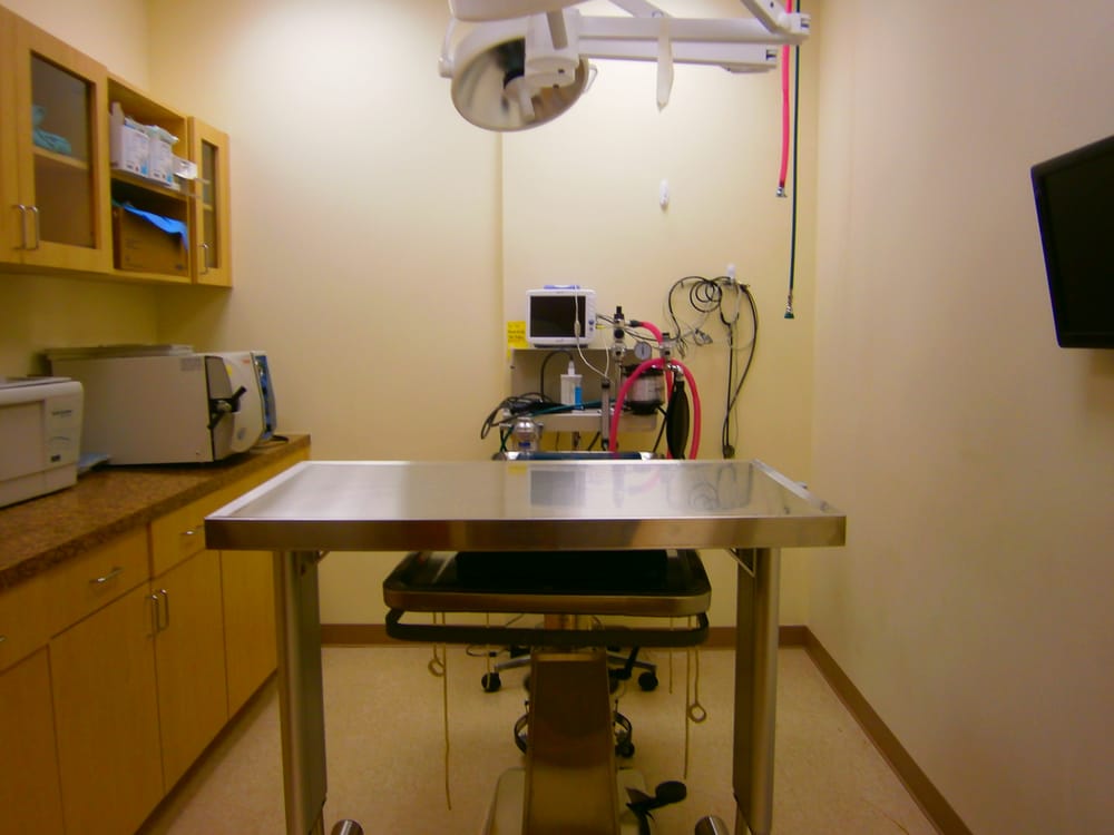 ST FRANCIS ANIMAL HOSPITAL OF STATEN ISLAND Updated June 2024 32