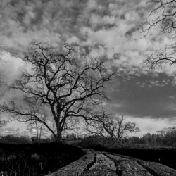 Traylor Ranch Nature Reserve and Bird Sanctuary - This is near the Indian Grinding Stones and a memorial
